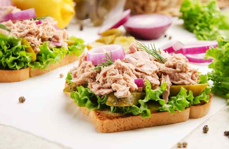 pane tostato con tonno