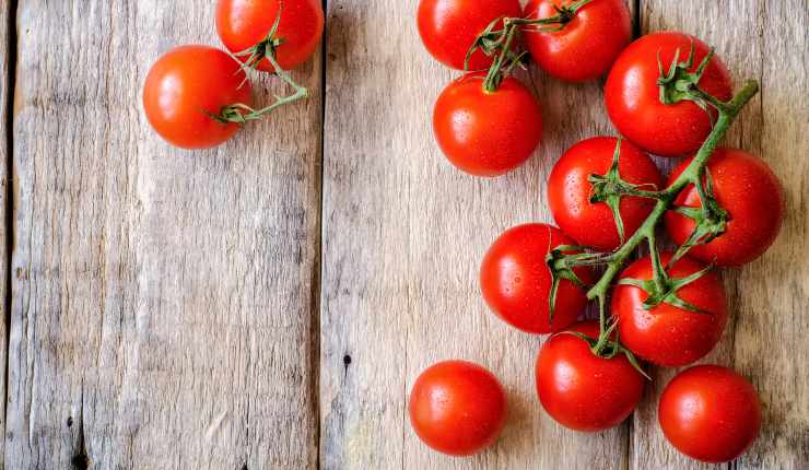 Conserva di pomodori al naturale 