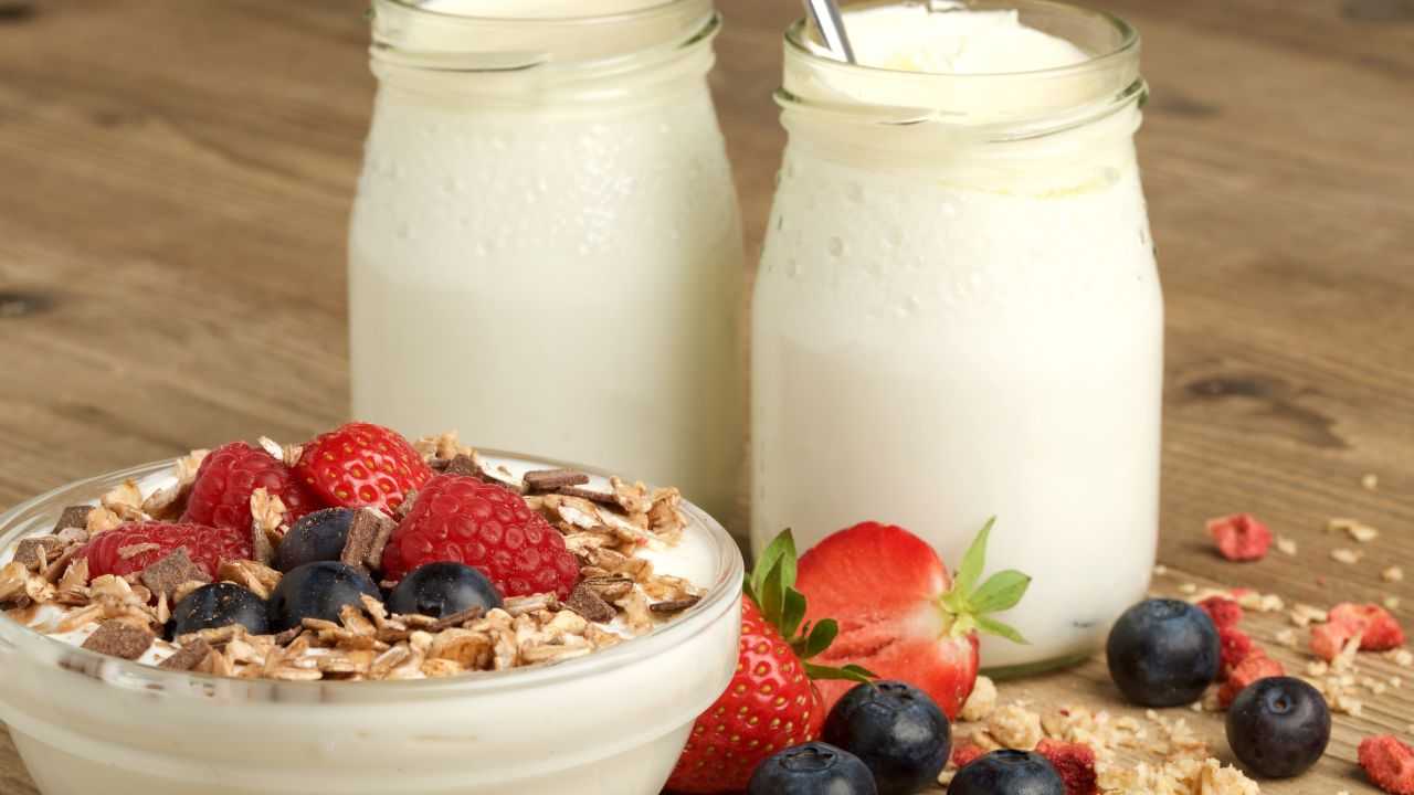 greco skyr kefir