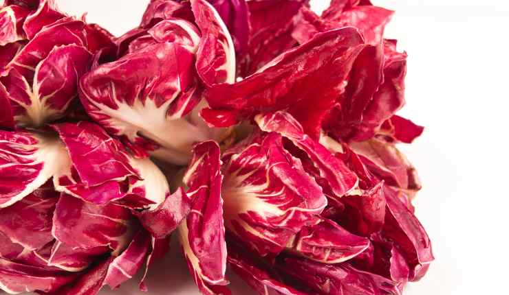 panzerotti radicchio forno