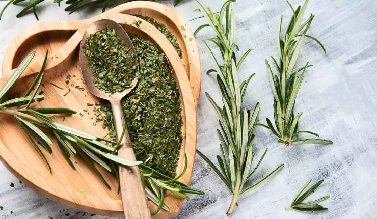 zucca gratinata padella