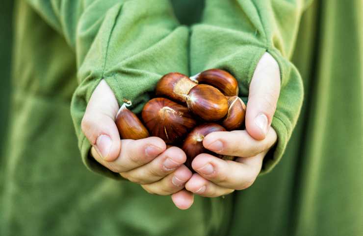 castagne buone