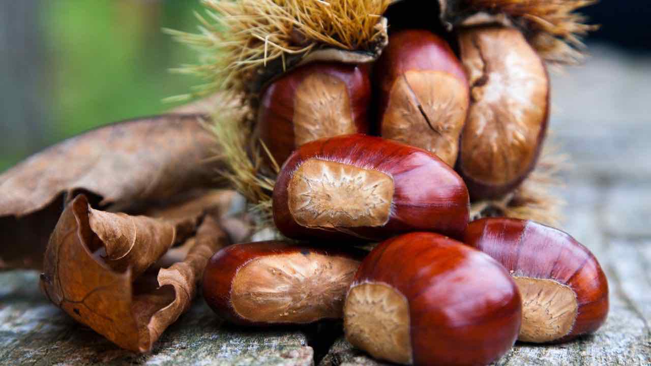 sbucciare castagne