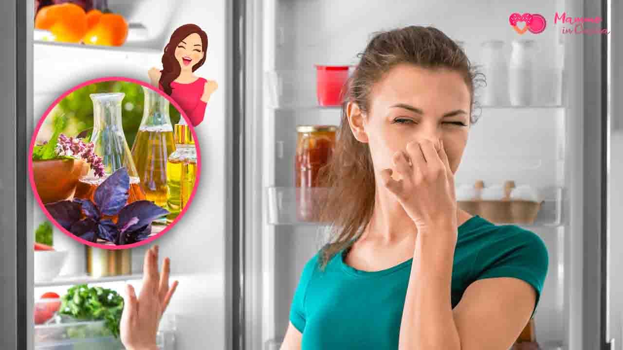 eliminare odore frigorifero