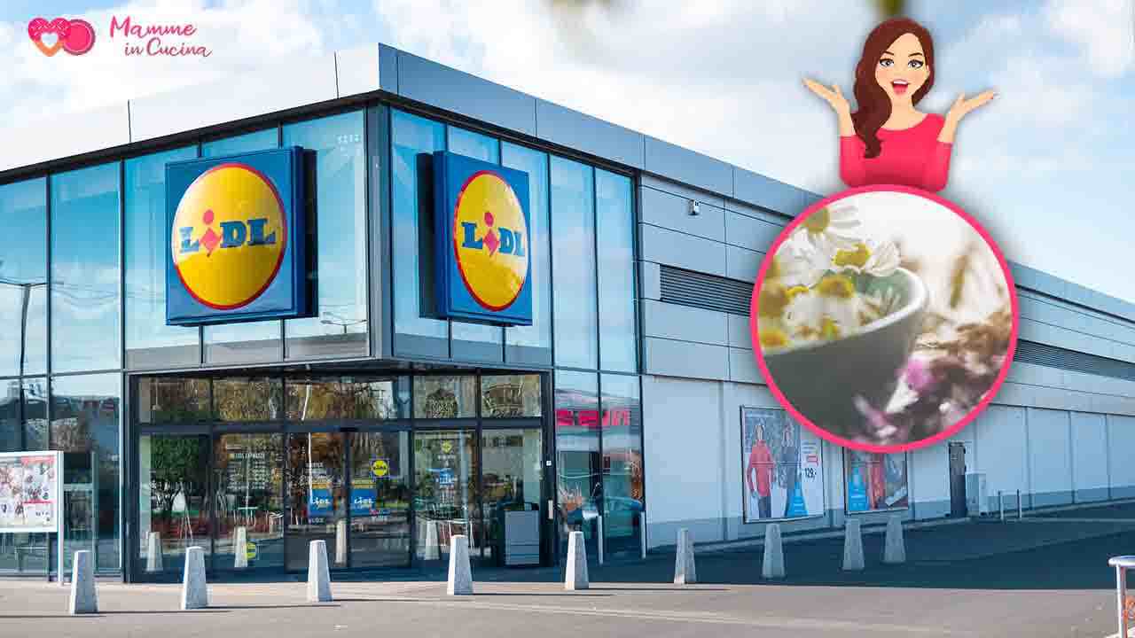 prodotti winni's offerta lidl