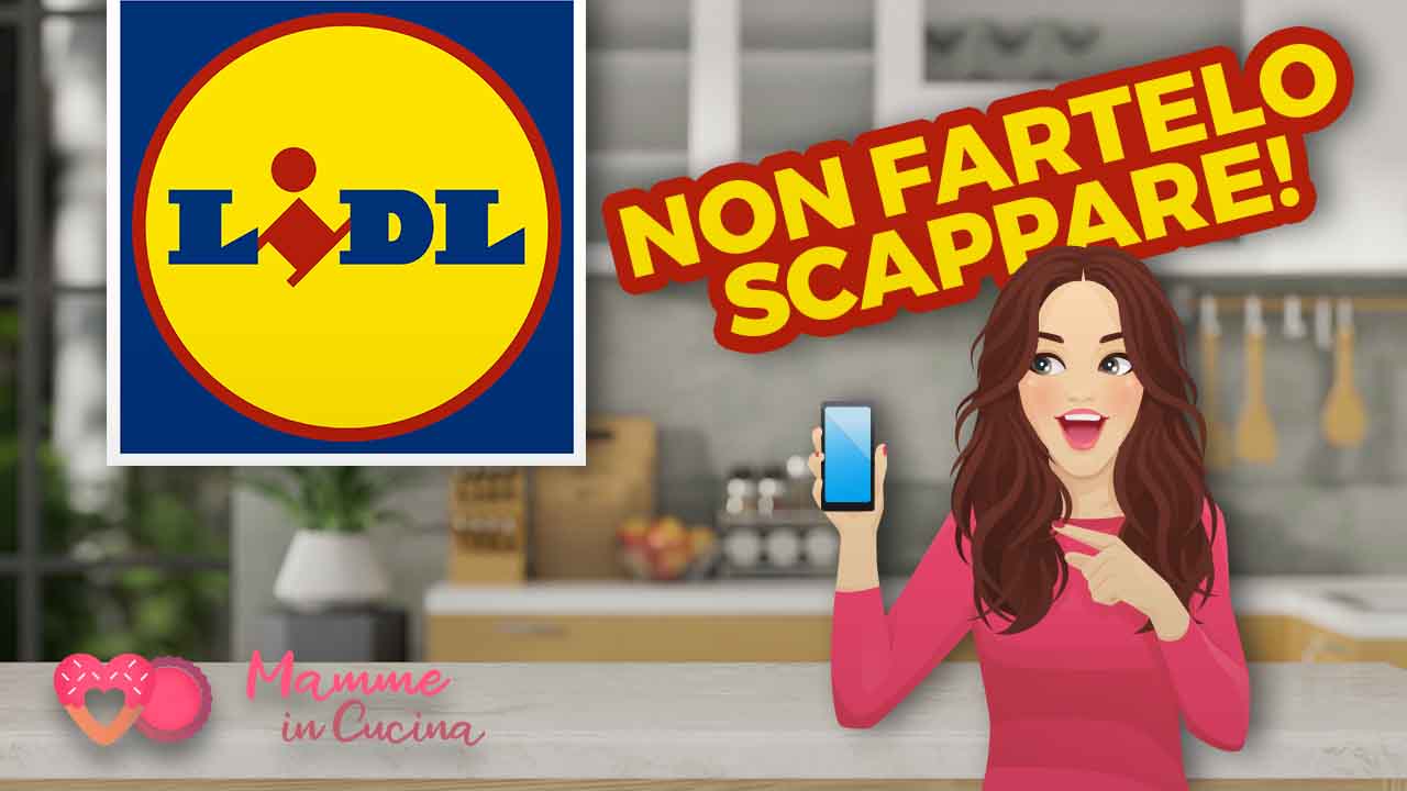 offerta lidl