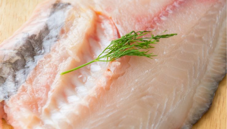 pesce crudo rischio anisakis