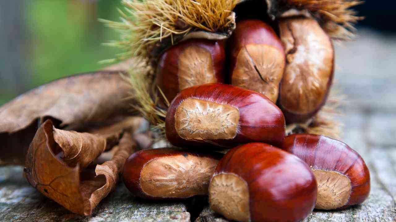 risotto castagne