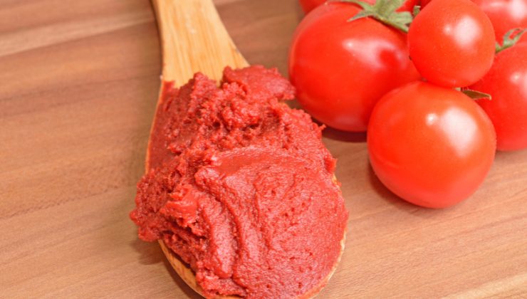 concentrato di pomodoro