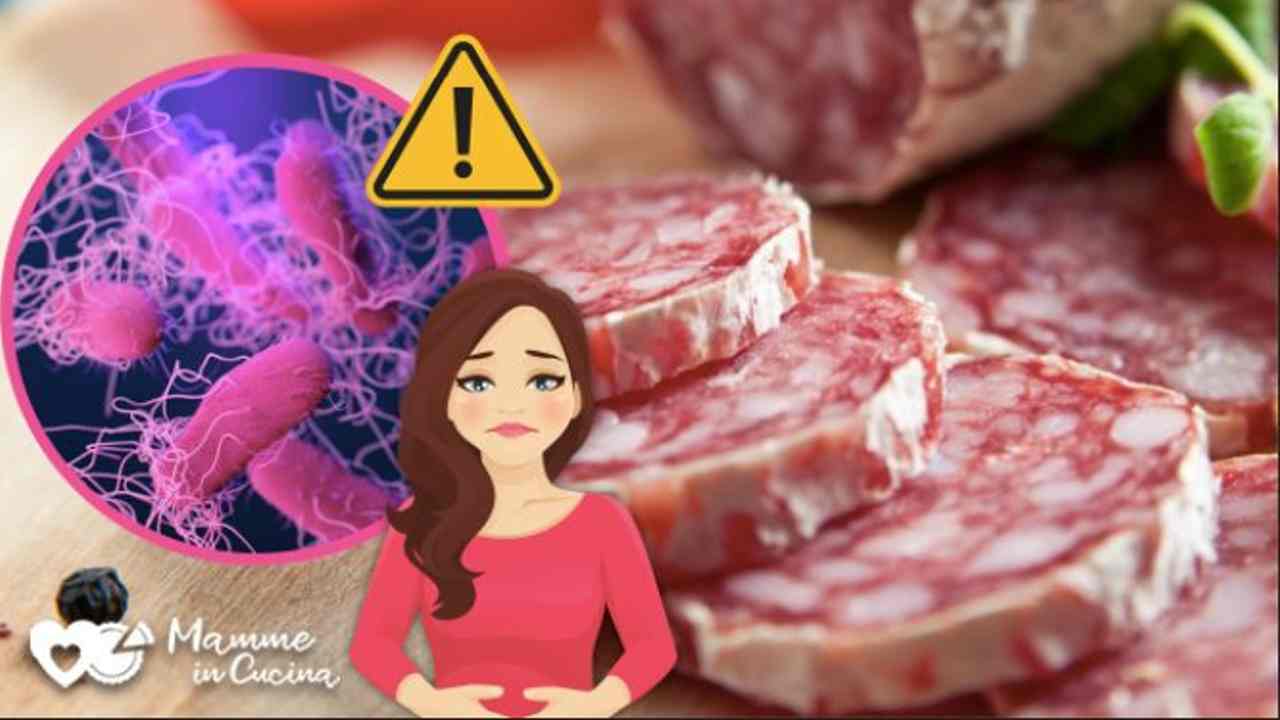 Salame salmonella