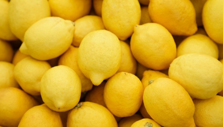 limoni