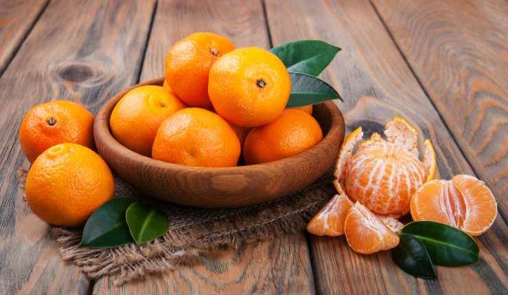 Torta ai mandarini frullati