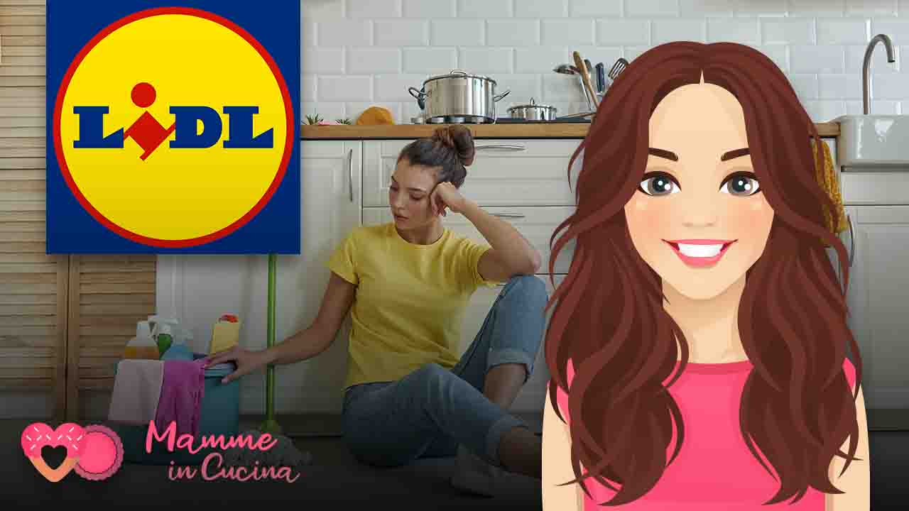 lidl scopa elettrica