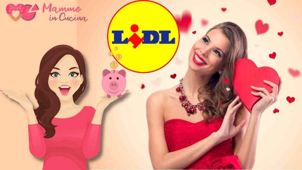 lidl bollitore elettrico