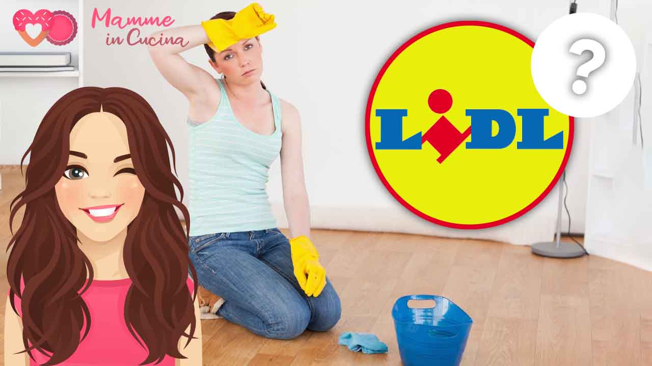 pulisce lidl