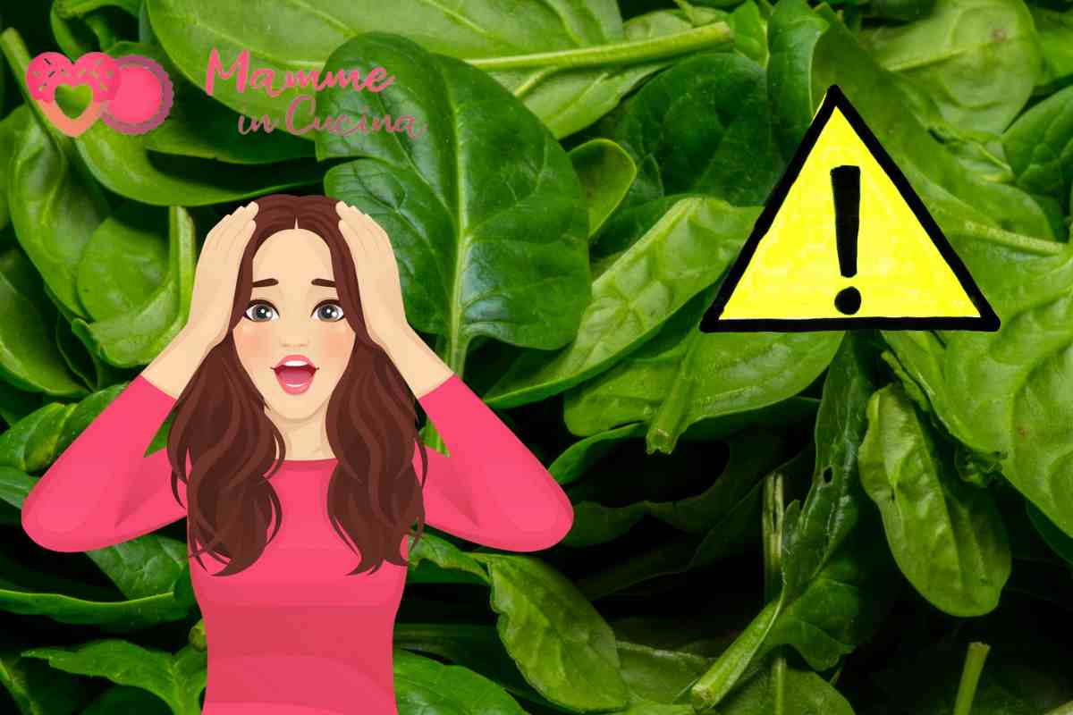 pericolo spinaci