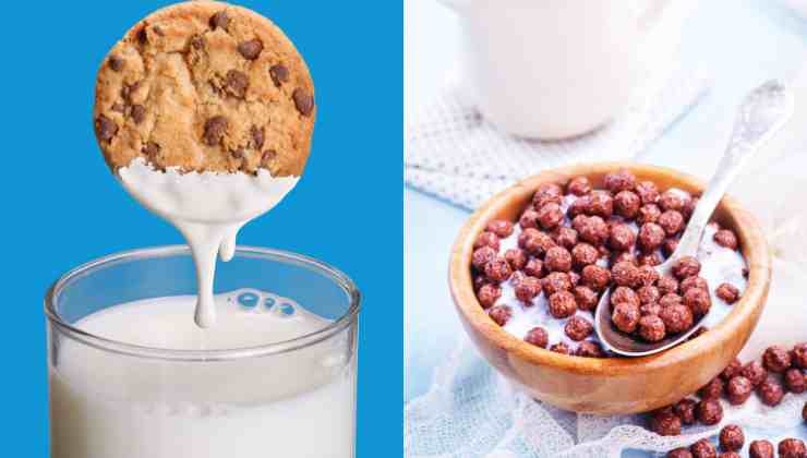 Biscotti o cereali, cosa preferisci?