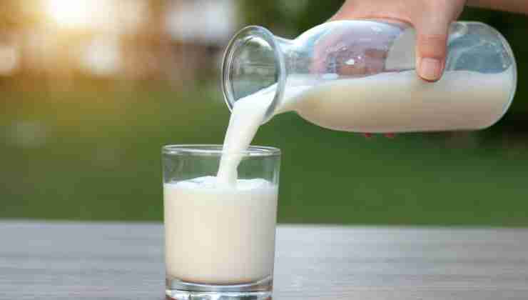 Tutto quello che c'è da sapere sul latte