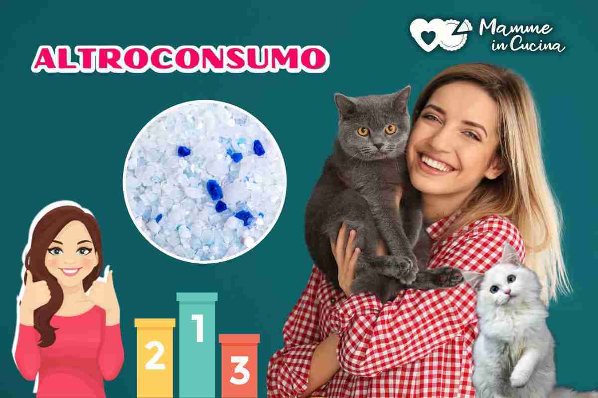 lettiere gatti altroconsumo