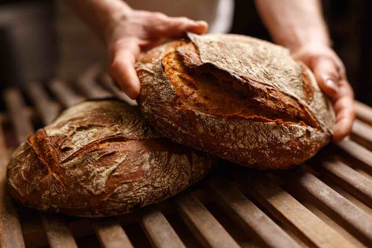 errori pane fatto in casa