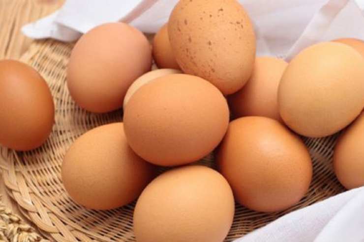 dove conservare le uova