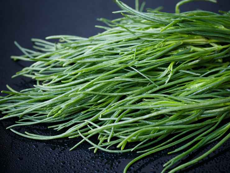 Come fare la schiacciata di agretti