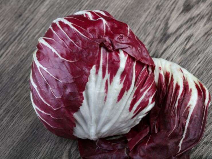 culetto radicchio risparmio