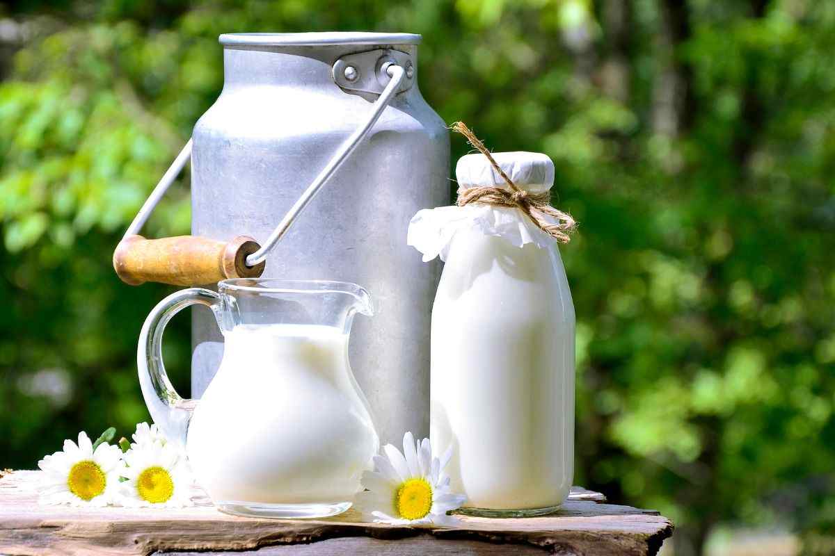 latte conservazione frigo