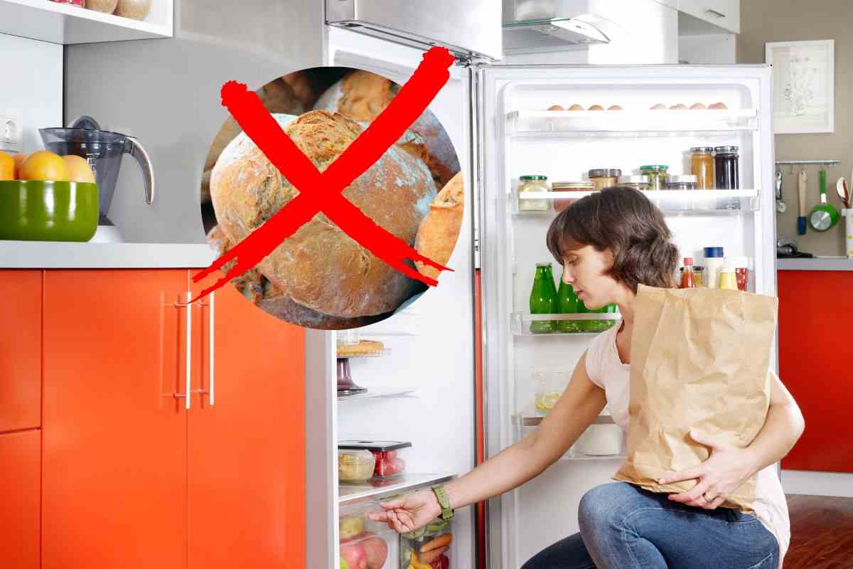 pane frigorifero errore