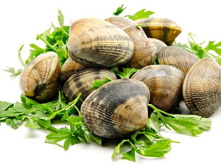 spurgare le vongole correttamente