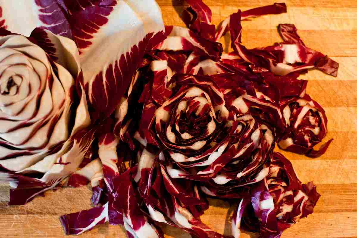 culetto radicchio utilizzo