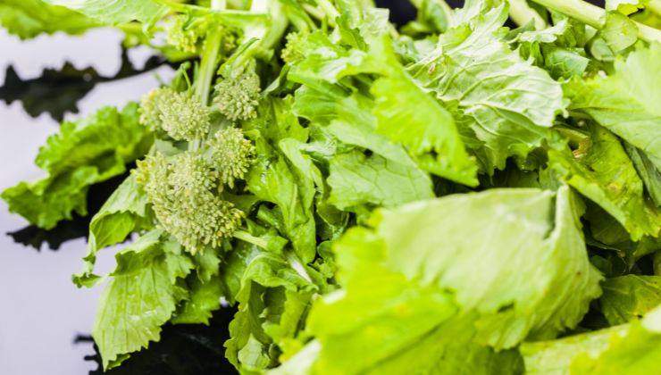 Spaghettoni con cime di rapa