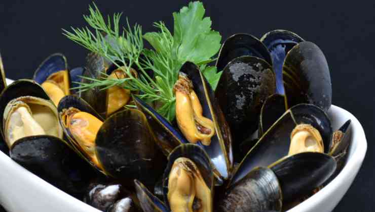 Cozze aperte