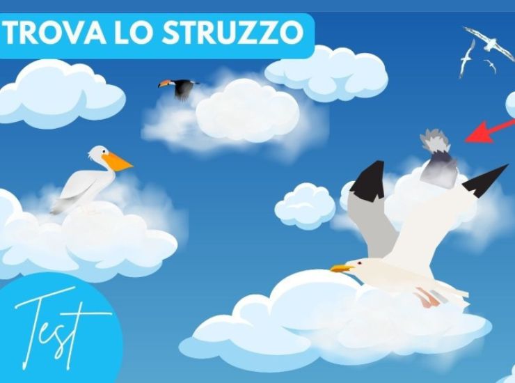 Test visivo struzzo