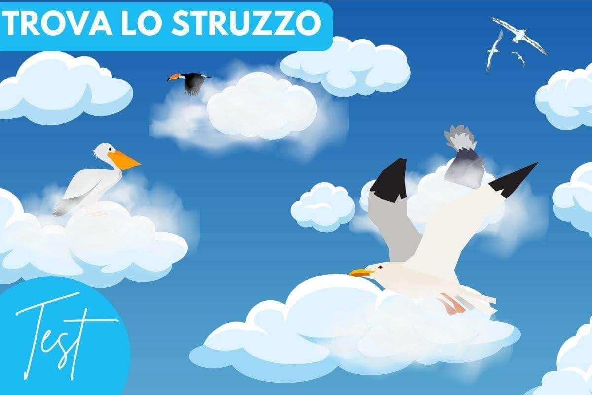 Test visivo struzzo alta difficoltà