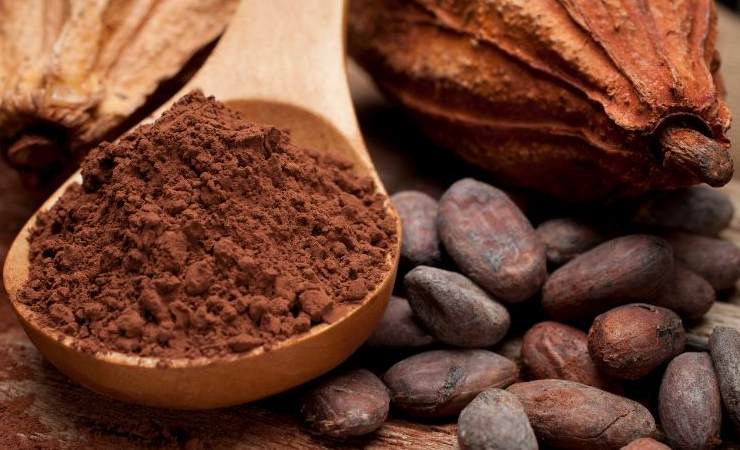 cacao cioccolato zeppole san giuseppe