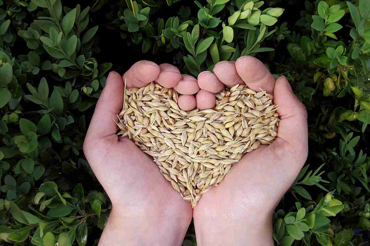 Cibi che combattono la depressione