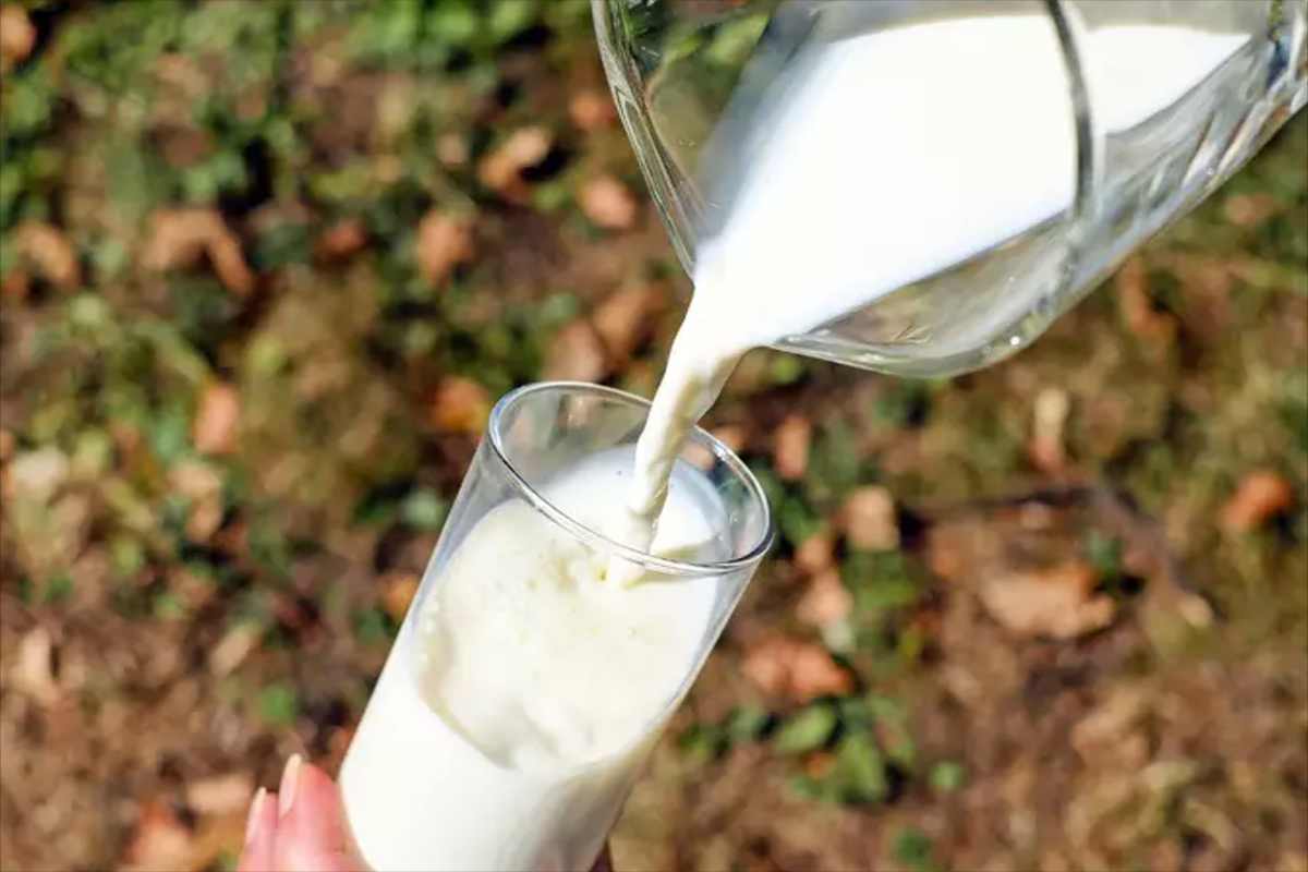 Benefici del latte crudo