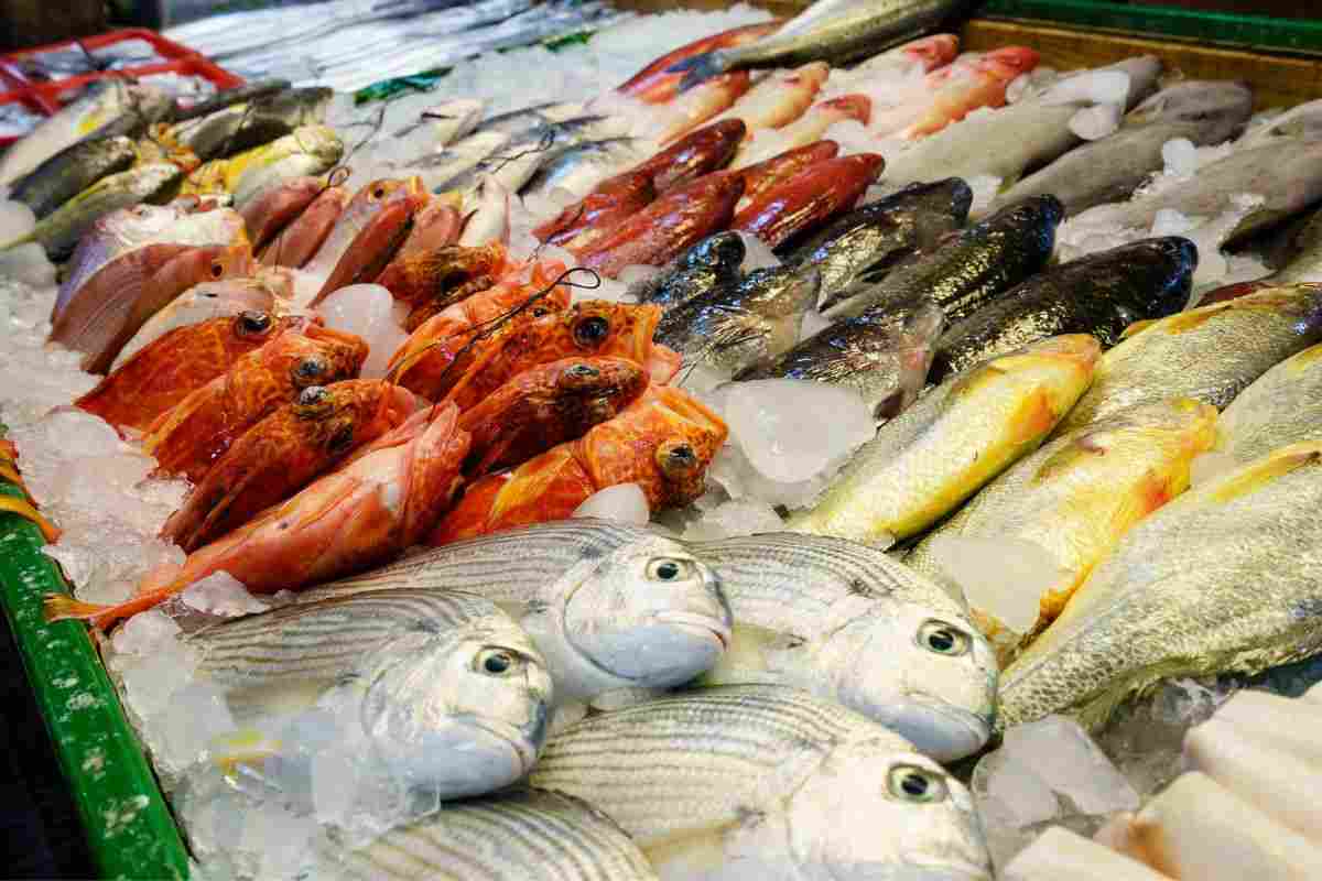 pesce fresco come riconoscerlo