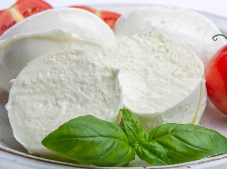 migliore mozzarella sul mercato