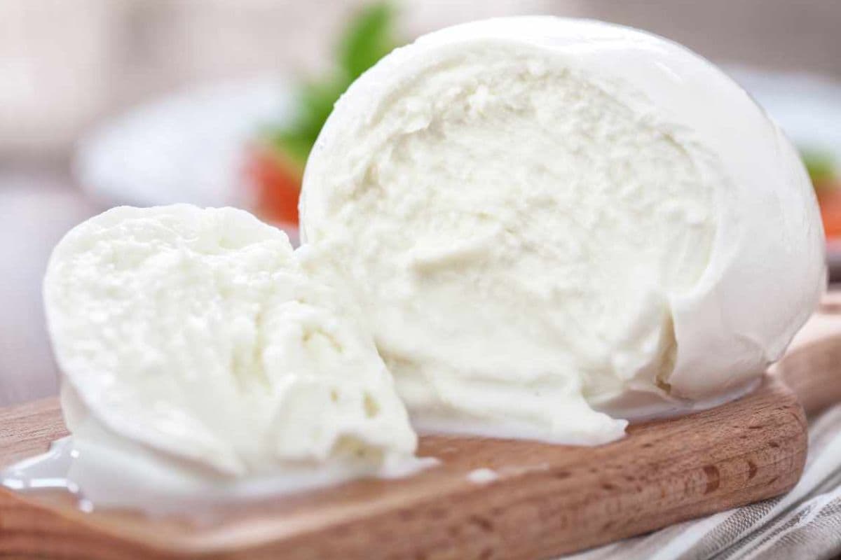 migliore mozzarella sul mercato