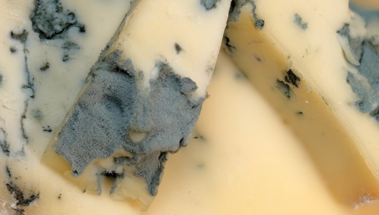 conservare formaggio