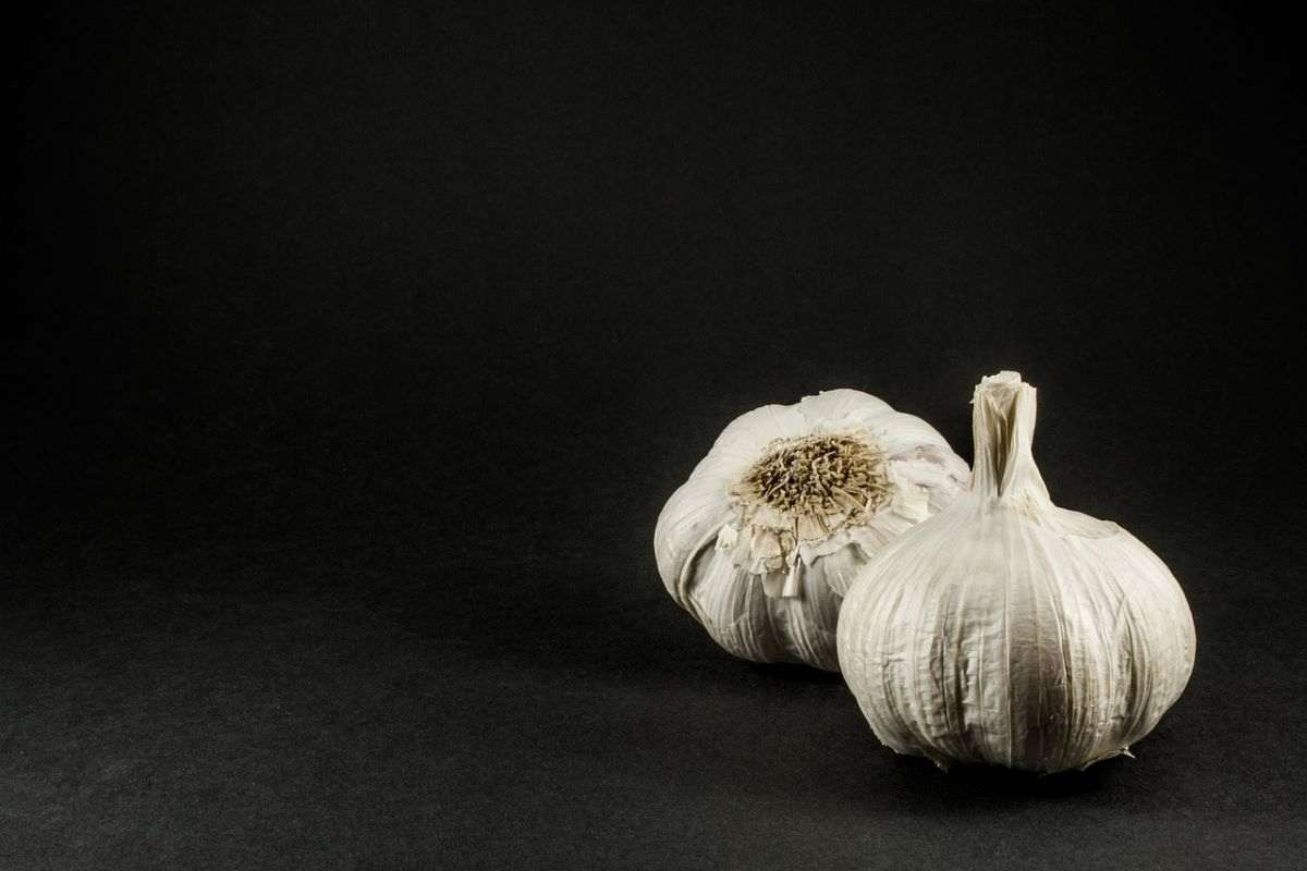 come riutilizzare bucce di aglio