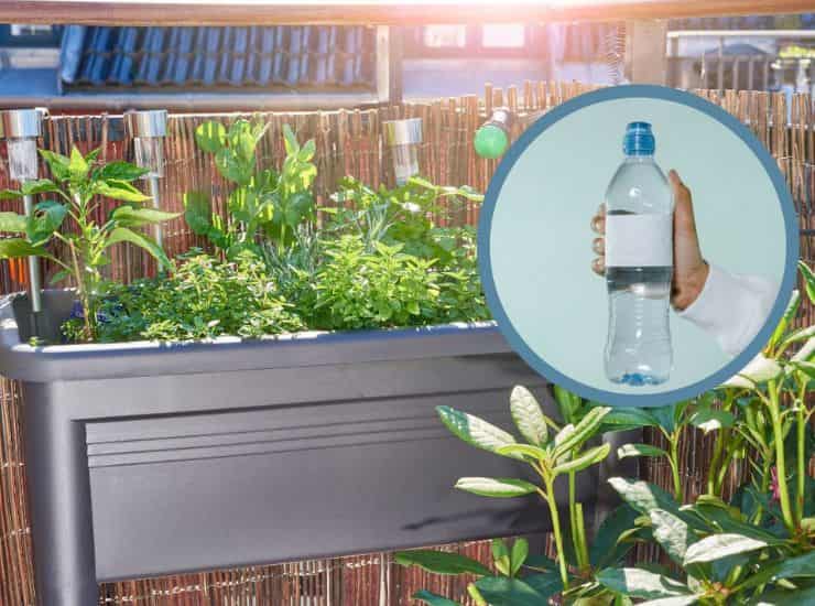 bottiglia plastica balcone piante