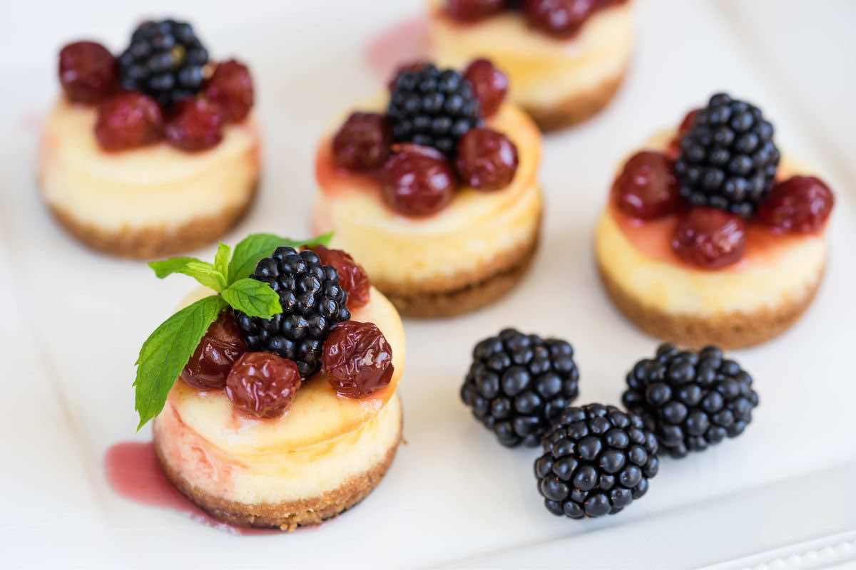 ricetta facile mini cheesecake 