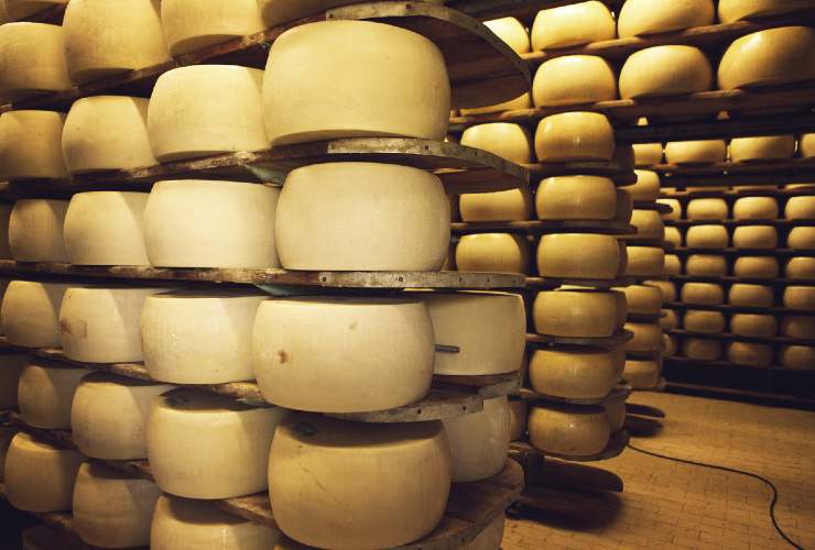 Microchip nelle forme di Parmigiano Reggiano