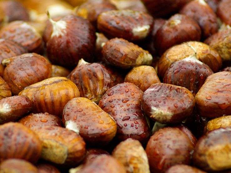 castagne friggitrice ad aria