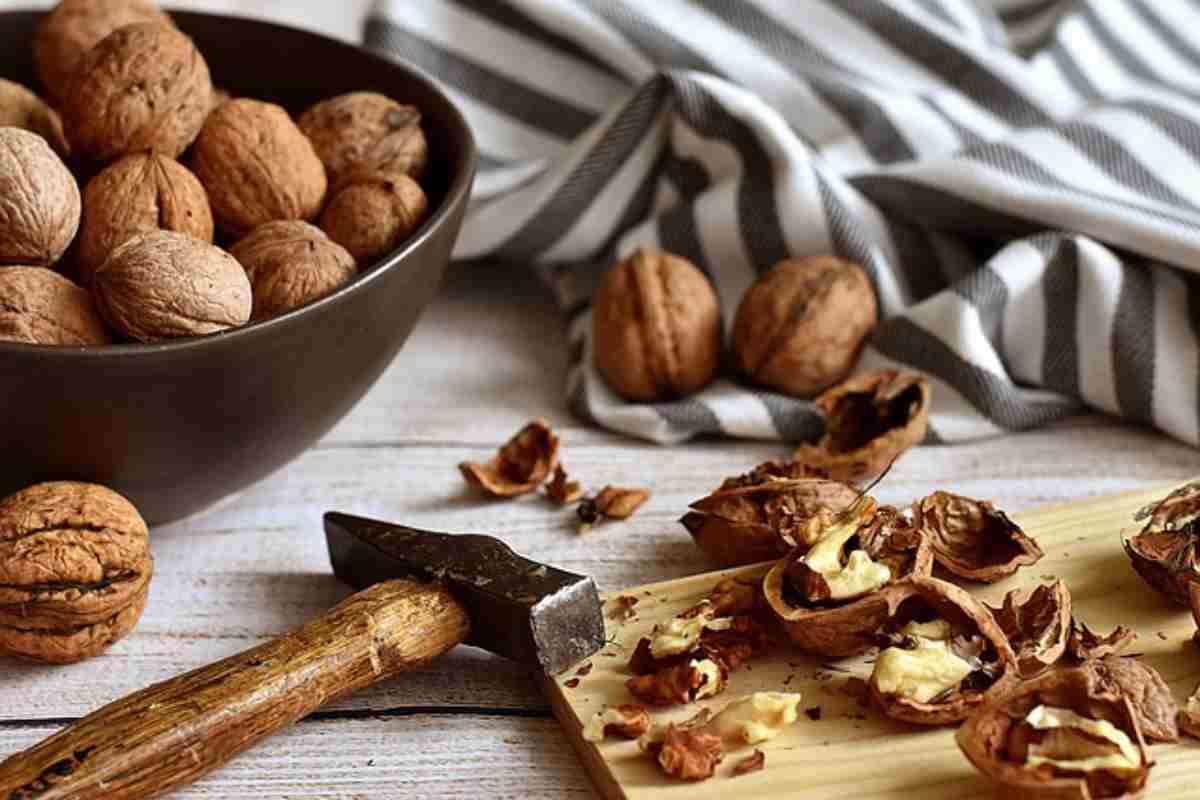 torta alle noci senza burro ricetta